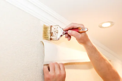Pose de papier peint à Entraunes — revêtements muraux et toiles de verre